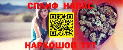 хмурый Обь