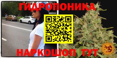 хмурый Обь